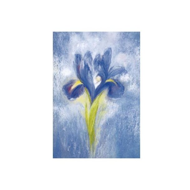 Dobbelt postkort m/ kuvert<br />Baby i blomst