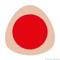 Stockmar Farveblyanter trekantet - Ass. 12+1